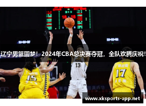 辽宁男篮圆梦！2024年CBA总决赛夺冠，全队欢腾庆祝！
